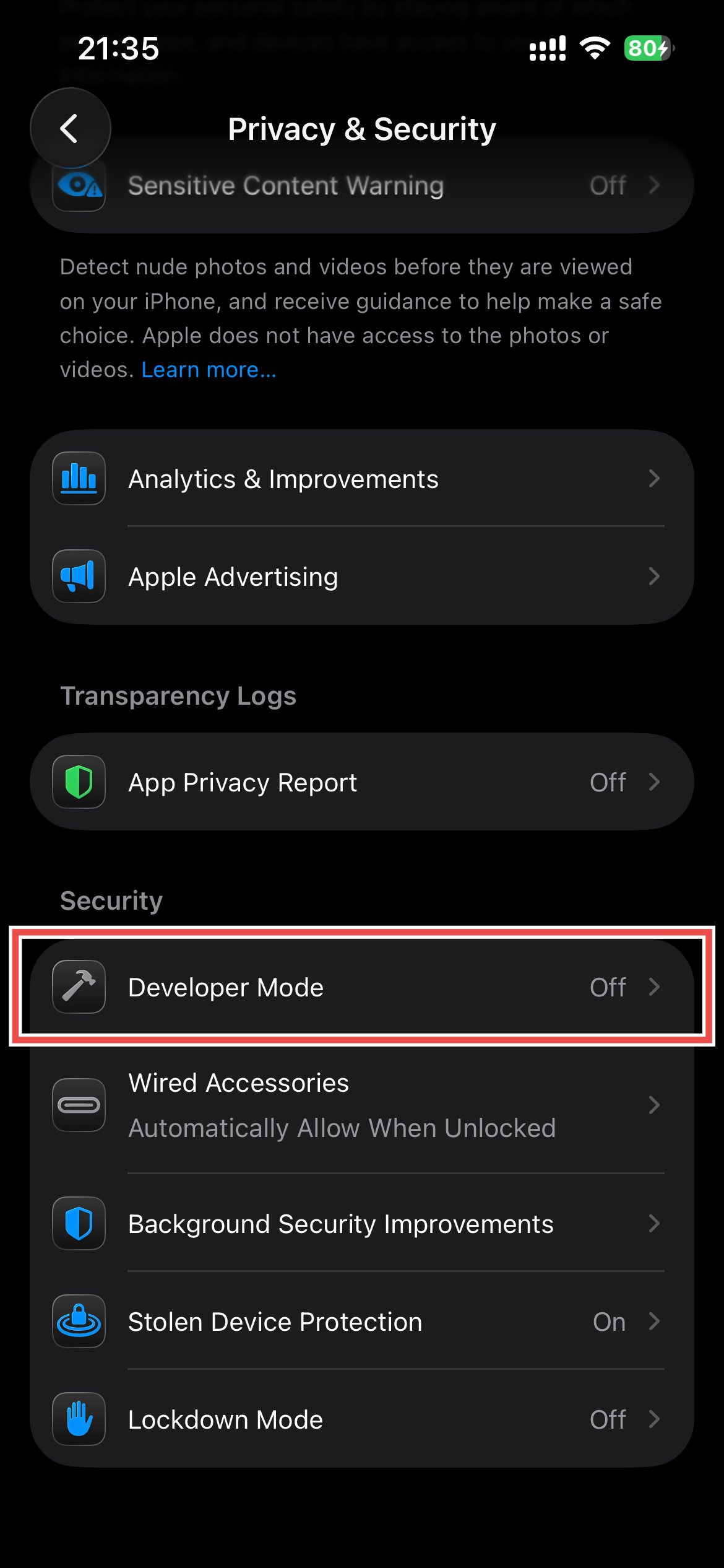 Developer Mode in iPhone Settings