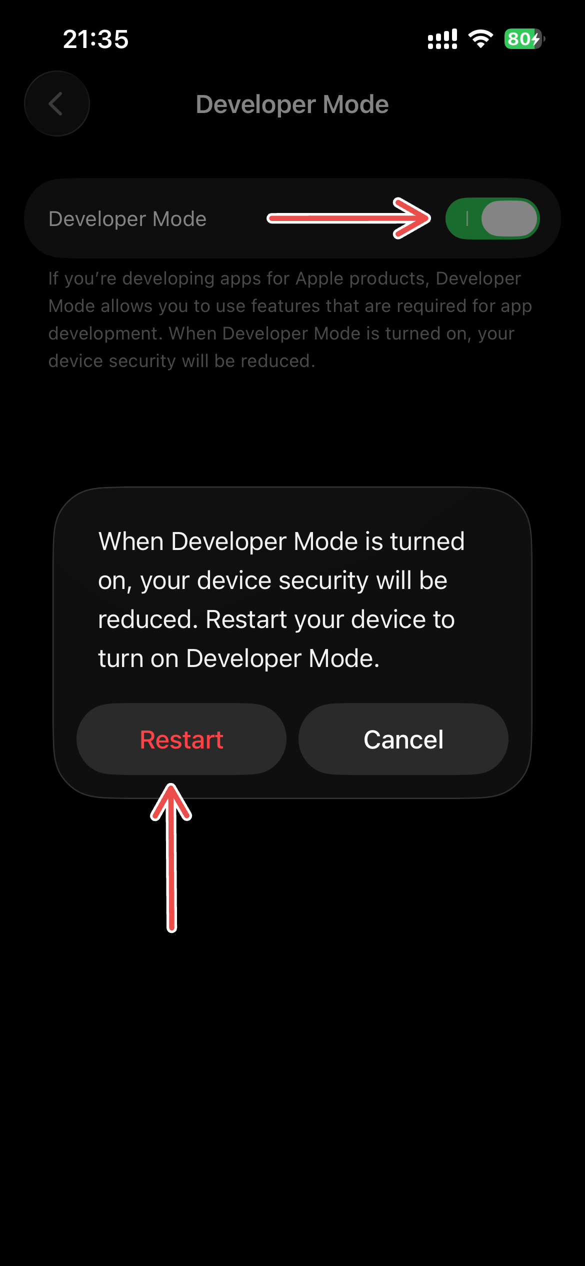 Turn on Developer Mode and restart